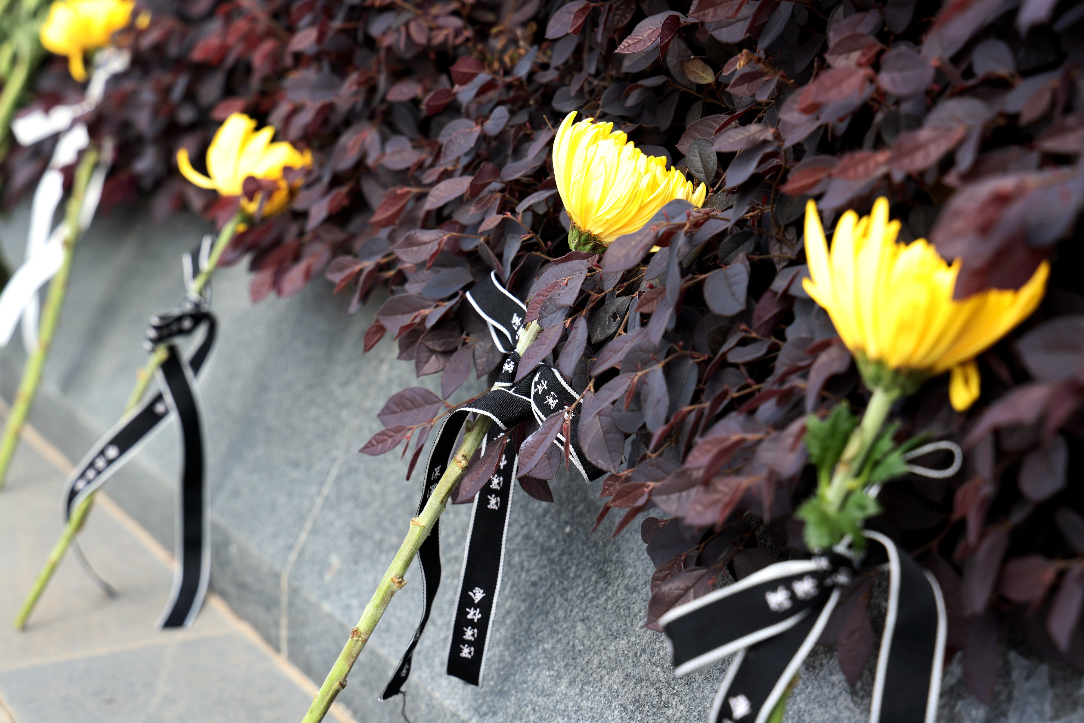 欧博abg(Allbet)官网登录入口