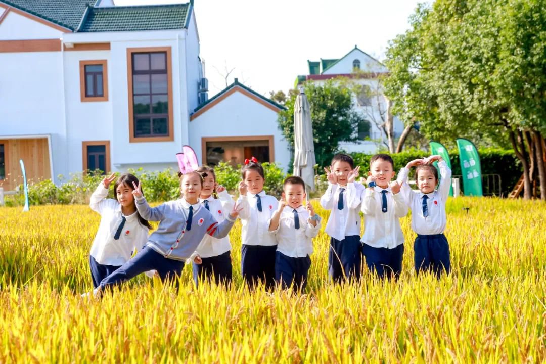 欧博abg(Allbet)官网登录入口