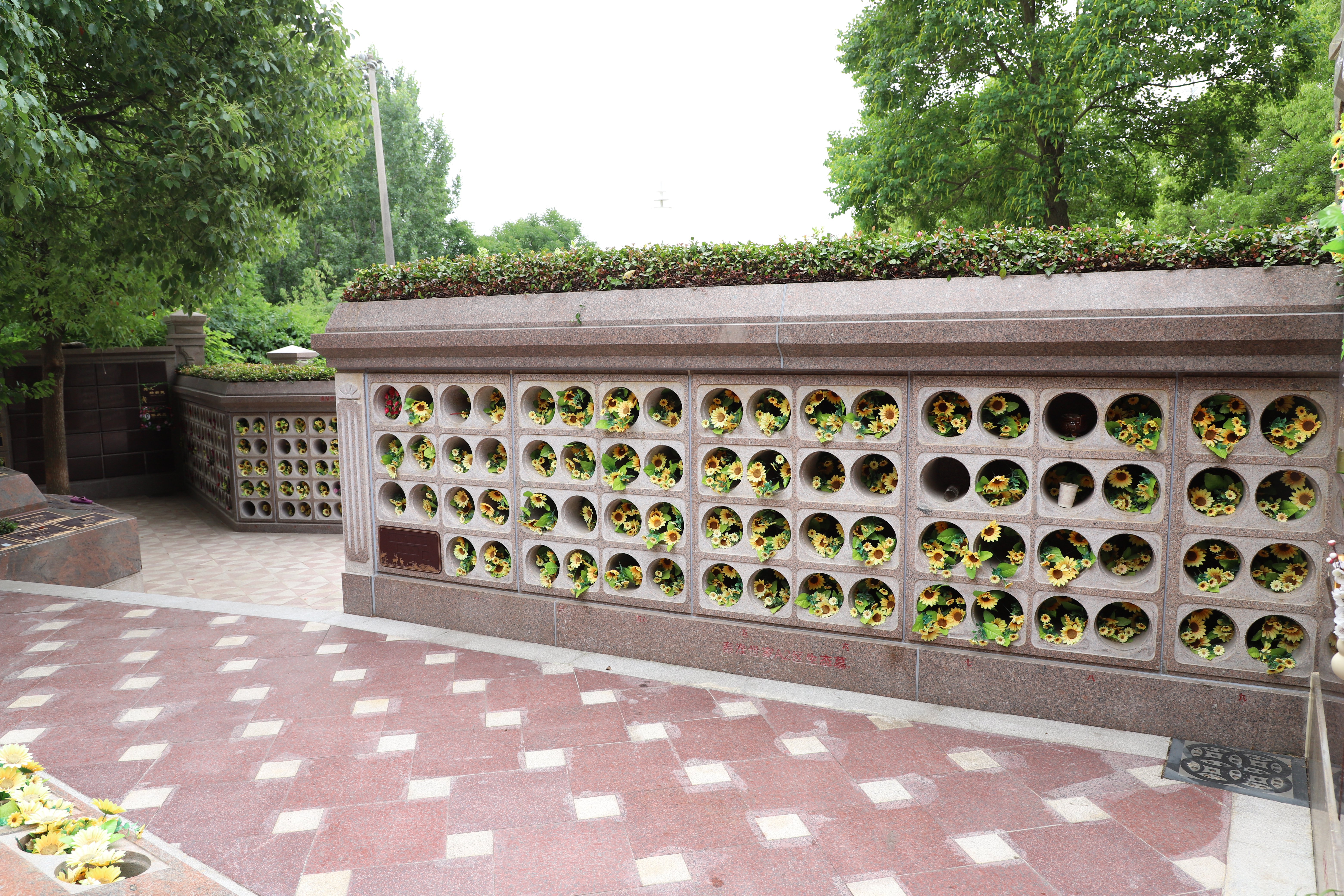 欧博abg(Allbet)官网登录入口