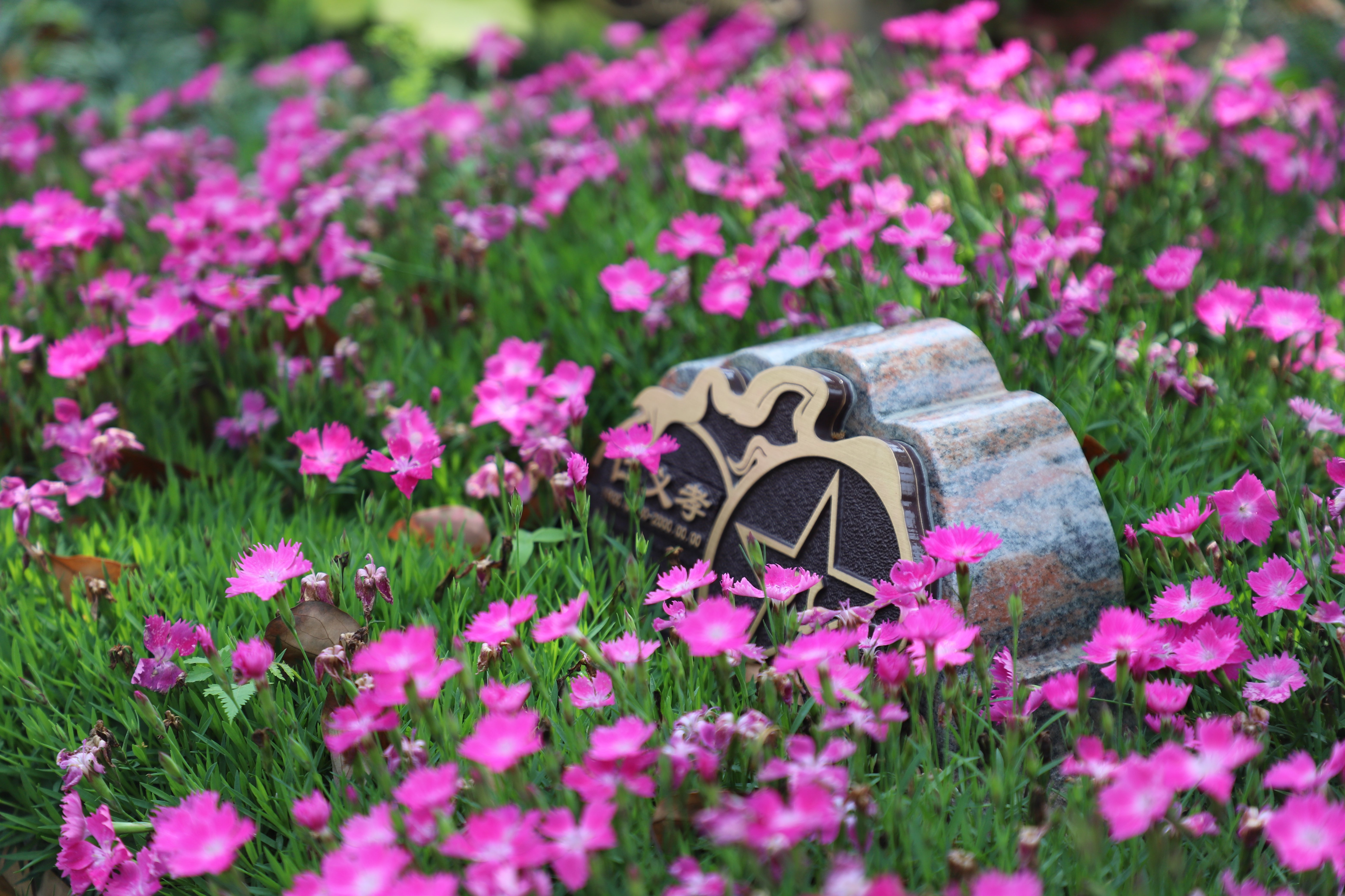 欧博abg(Allbet)官网登录入口