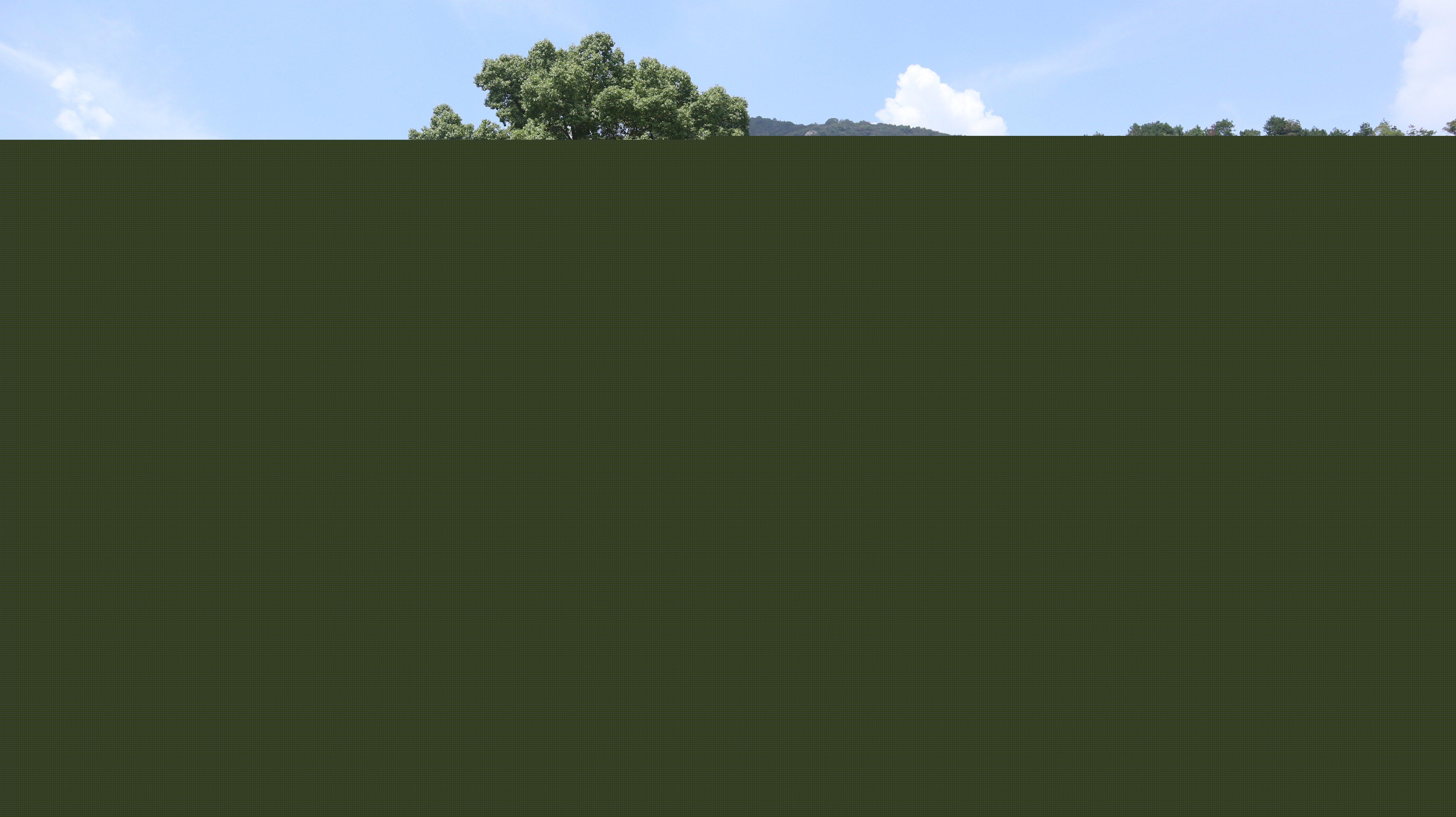 欧博abg(Allbet)官网登录入口