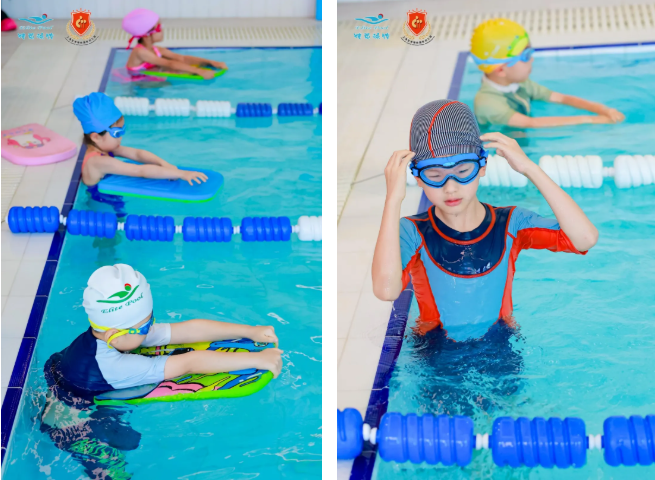 欧博abg(Allbet)官网登录入口