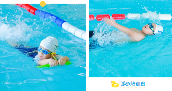 欧博abg(Allbet)官网登录入口