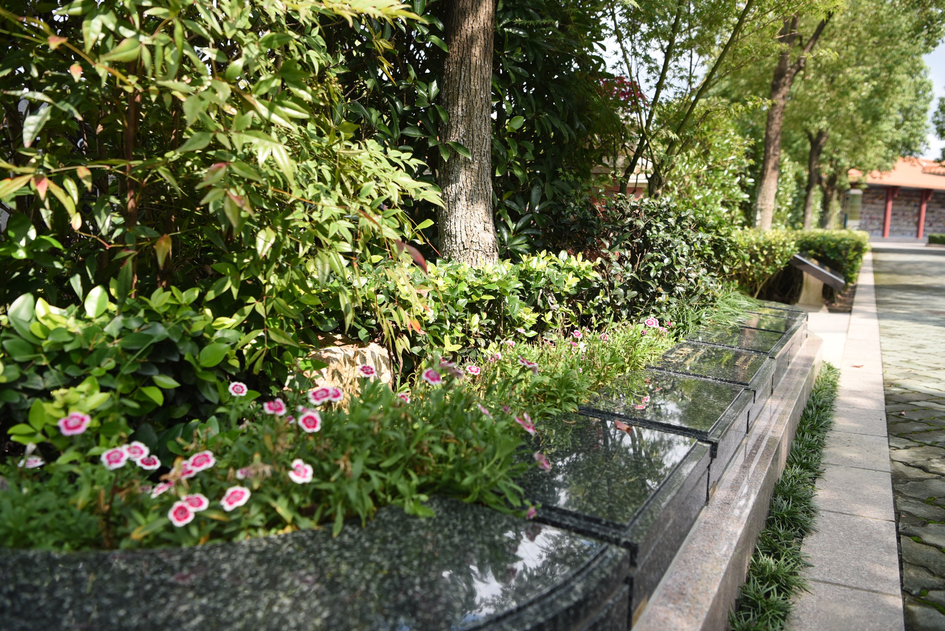 欧博abg(Allbet)官网登录入口