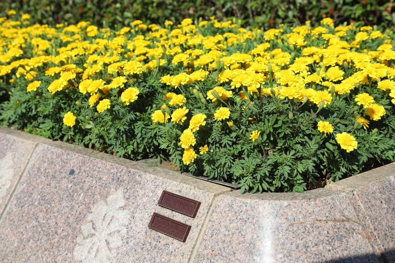 欧博abg(Allbet)官网登录入口