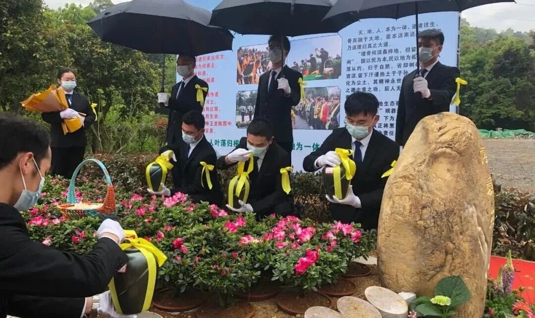 欧博abg(Allbet)官网登录入口