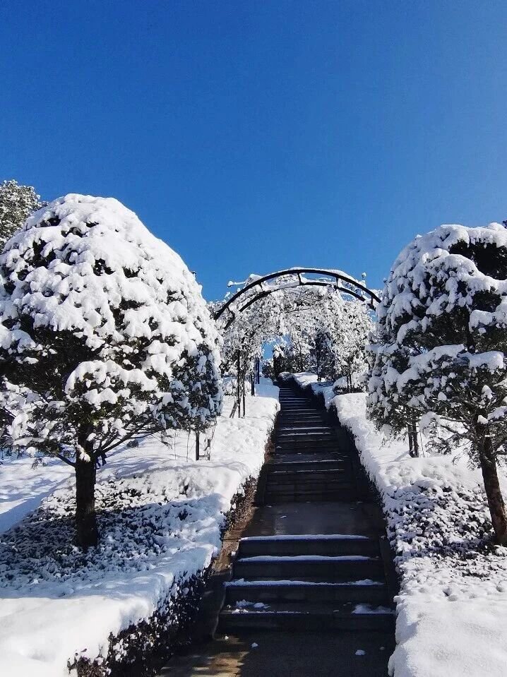 欧博abg(Allbet)官网登录入口