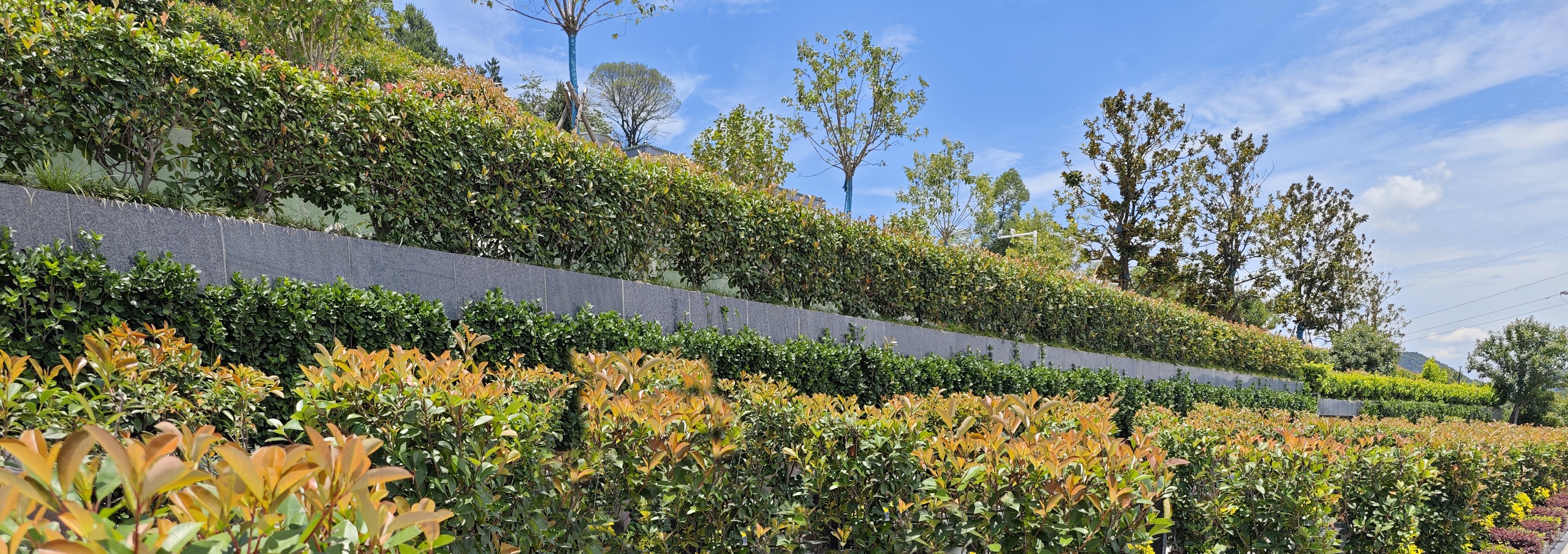 欧博abg(Allbet)官网登录入口