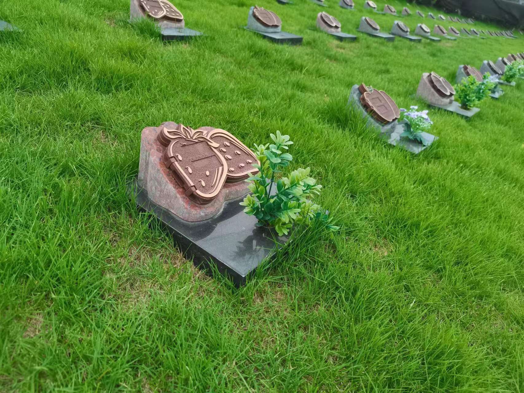 欧博abg(Allbet)官网登录入口