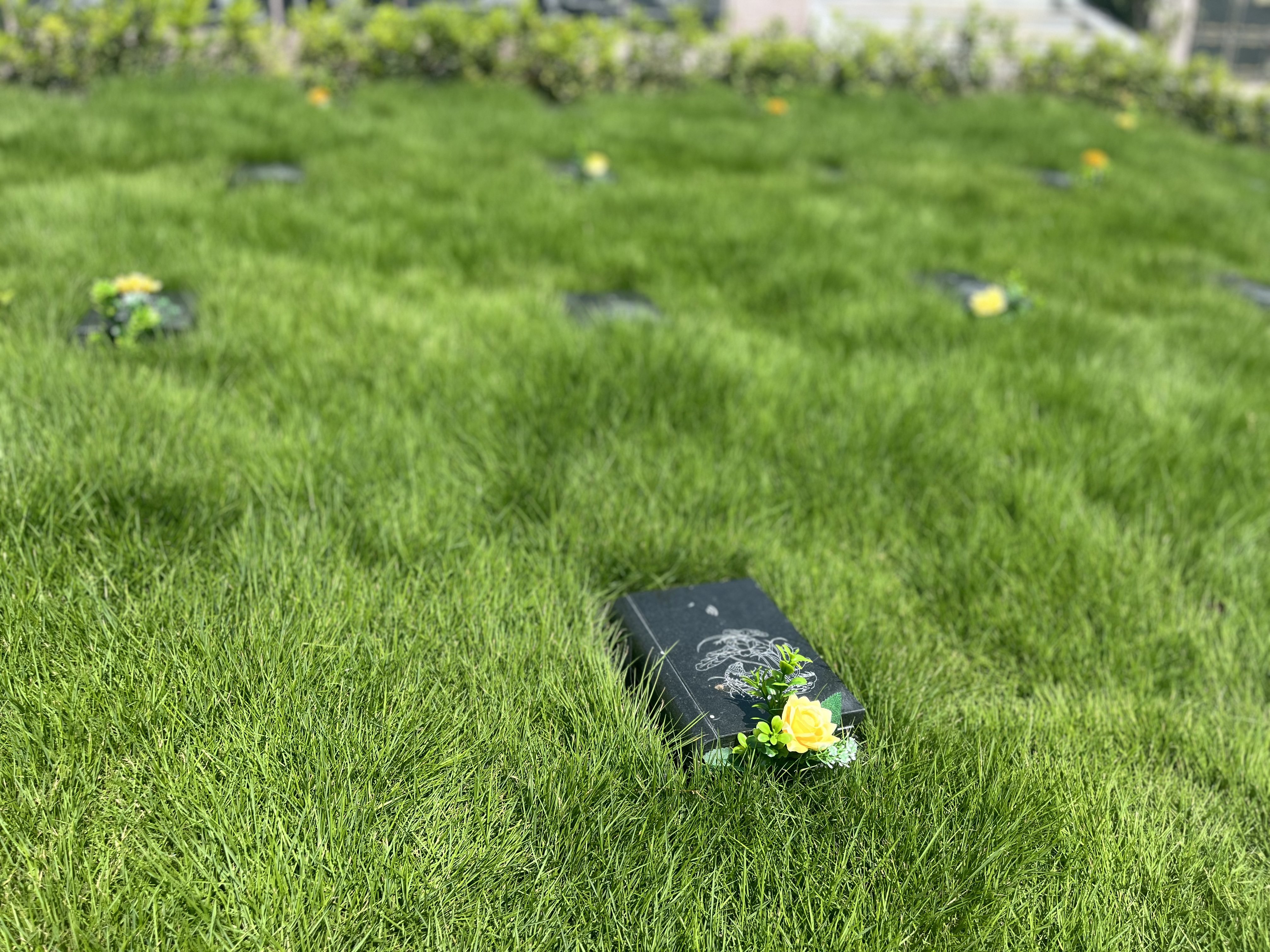 欧博abg(Allbet)官网登录入口