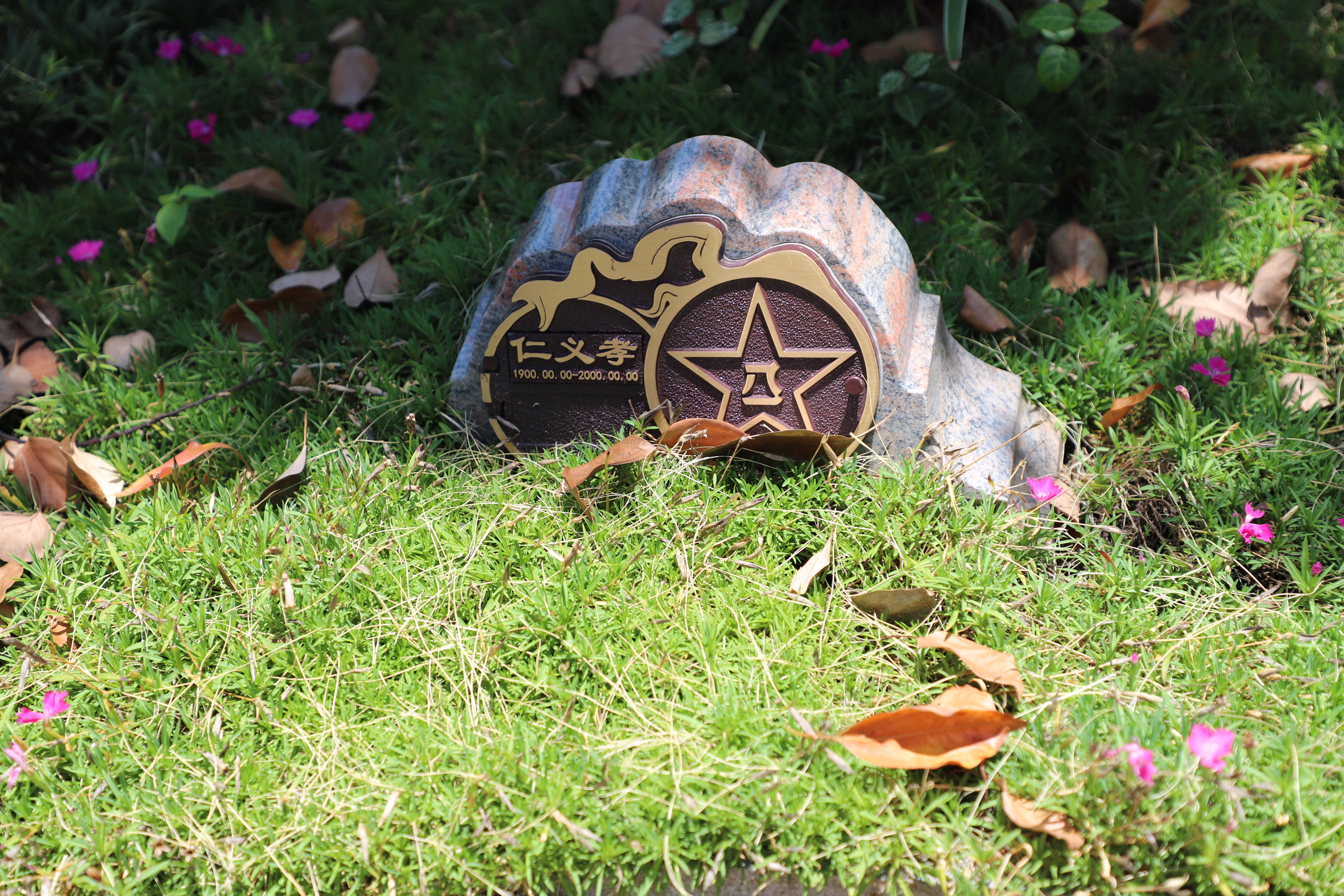 欧博abg(Allbet)官网登录入口